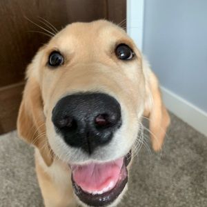 Meet your Posher, Jacob